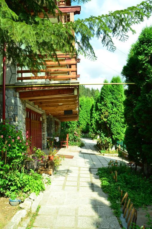 Pension Roni Buşteni Exterior foto