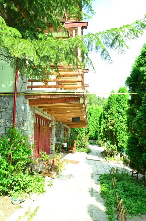 Pension Roni Buşteni Exterior foto