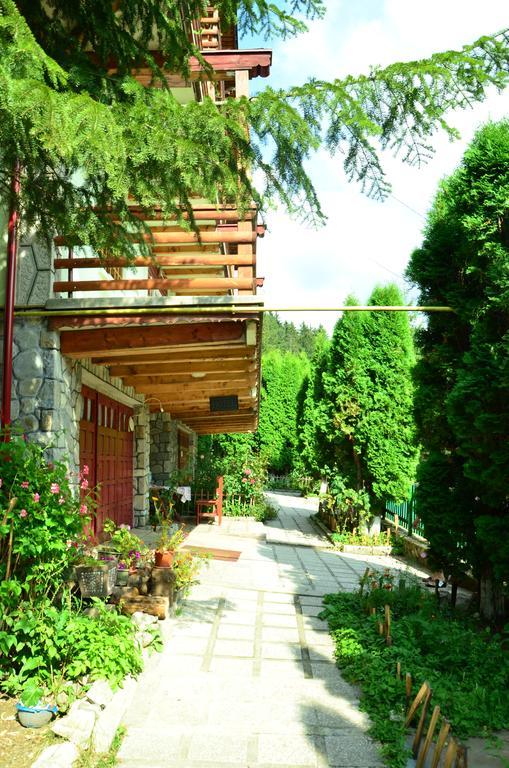 Pension Roni Buşteni Exterior foto
