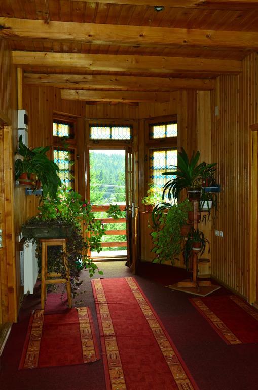 Pension Roni Buşteni Exterior foto
