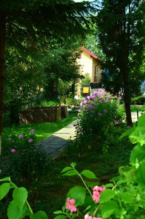 Pension Roni Buşteni Exterior foto