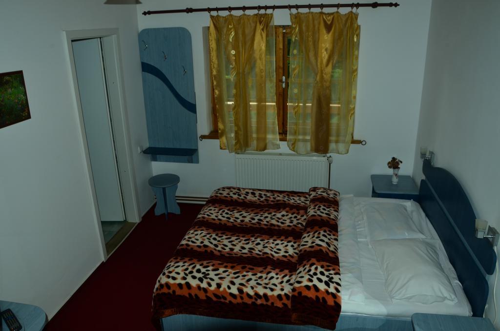 Pension Roni Buşteni Cameră foto