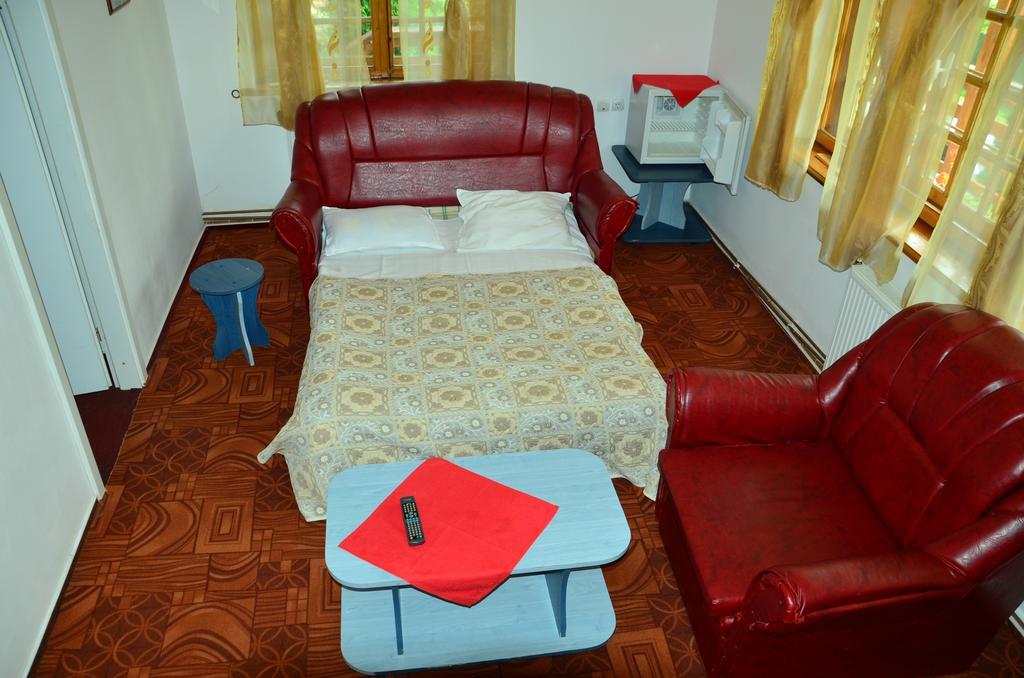 Pension Roni Buşteni Exterior foto