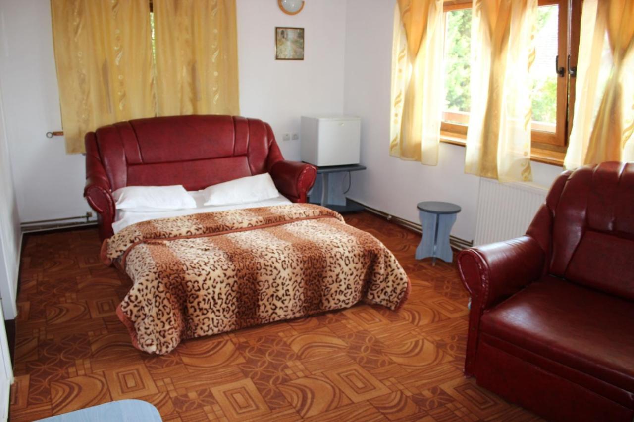 Pension Roni Buşteni Exterior foto