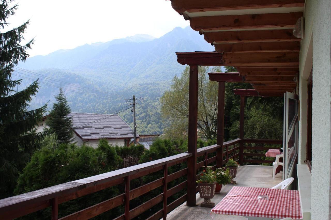 Pension Roni Buşteni Exterior foto
