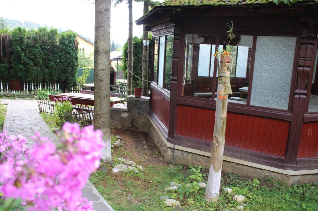 Pension Roni Buşteni Exterior foto