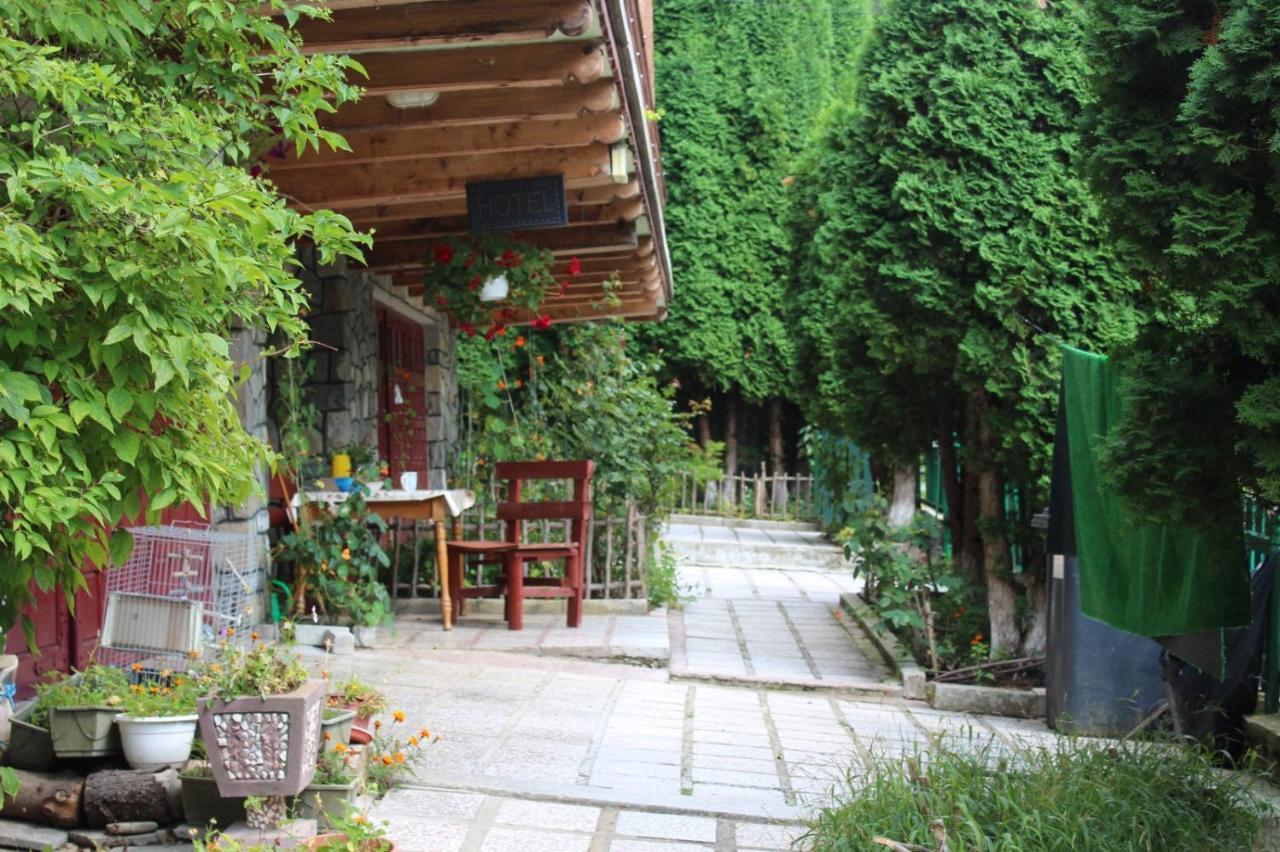 Pension Roni Buşteni Exterior foto