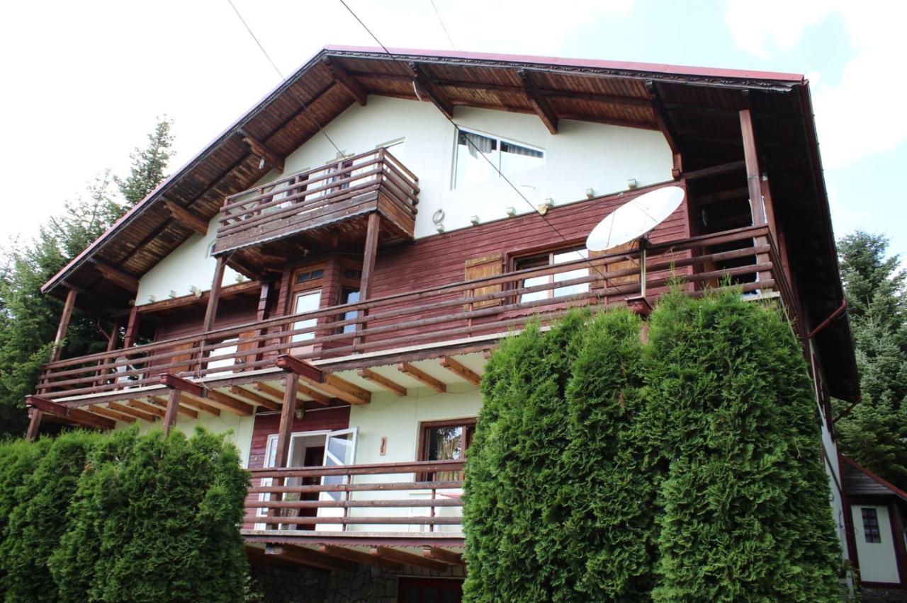 Pension Roni Buşteni Exterior foto
